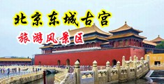 黄色视频抠逼中国北京-东城古宫旅游风景区